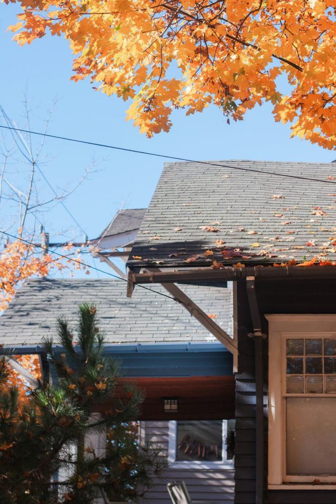 brown-and-white-wooden-house-under-blue-sky-during-daytime-mhmr1vkzrbk